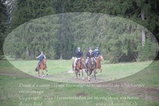 ref. photo 3358016