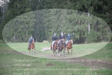 ref. photo 3358017