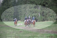 ref. photo 3358018