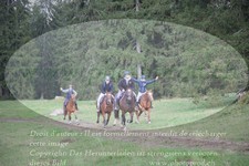 ref. photo 3358020