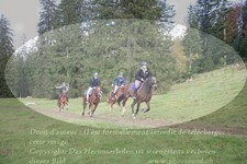 ref. photo 3358022