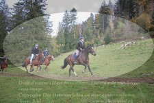 ref. photo 3358023
