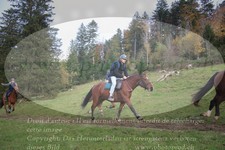 ref. photo 3358024
