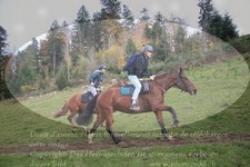 ref. photo 3358025