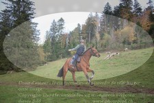 ref. photo 3358026