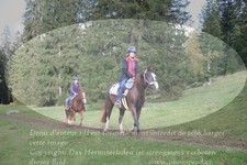 ref. photo 3358032