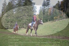 ref. photo 3358033