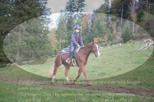 ref. photo 3358035