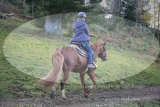 ref. photo 3358038