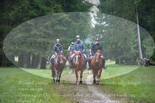 ref. photo 3358041