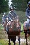 ref. photo 3358049