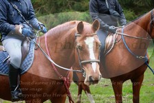 ref. photo 3358053