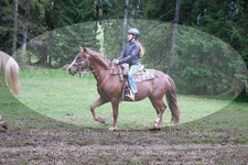 ref. photo 3358063