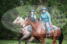 ref. photo 3358071