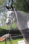 ref. photo 3199805