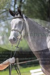 ref. photo 3199806