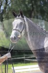 ref. photo 3199811