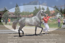 ref. photo 3199815