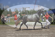 ref. photo 3199816