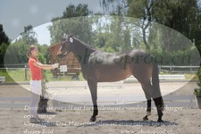 ref. photo 3199937