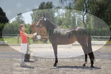 ref. photo 3199939