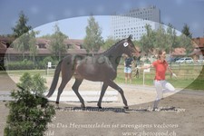 ref. photo 3199945
