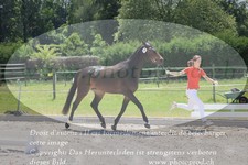 ref. photo 3199947