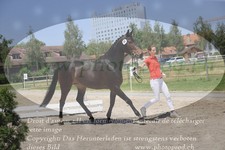 ref. photo 3199951