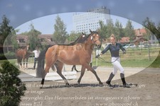 ref. photo 3199976