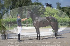 ref. photo 3200013