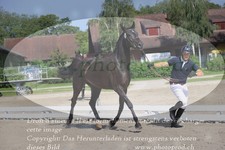 ref. photo 3200017