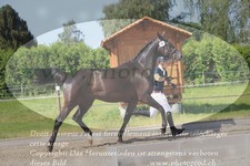 ref. photo 3200021