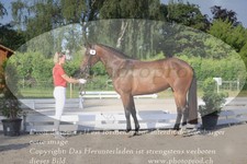 ref. photo 3200035