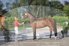 ref. photo 3200036