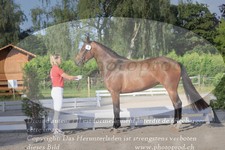 ref. photo 3200037