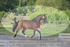 ref. photo 3200045