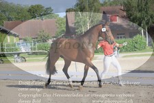 ref. photo 3200048