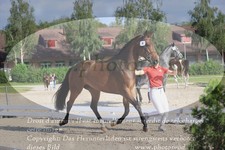 ref. photo 3200049