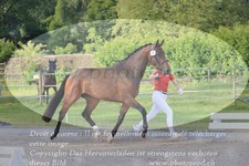 ref. photo 3200052