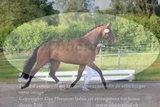 ref. photo 3200053
