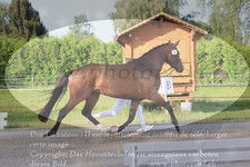 ref. photo 3200054