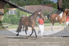 ref. photo 3200056
