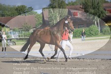 ref. photo 3200057