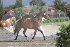ref. photo 3200058