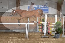 ref. photo 3200090
