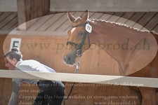 ref. photo 3200092