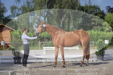 ref. photo 3200102