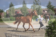 ref. photo 3200110
