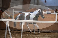 ref. photo 3200122
