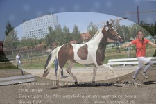 ref. photo 3200153